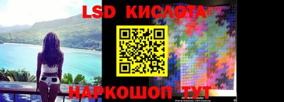 прущие грибы Лесосибирск