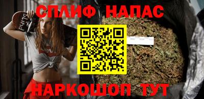 прущие грибы Лесосибирск
