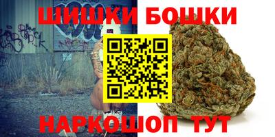 прущие грибы Лесосибирск