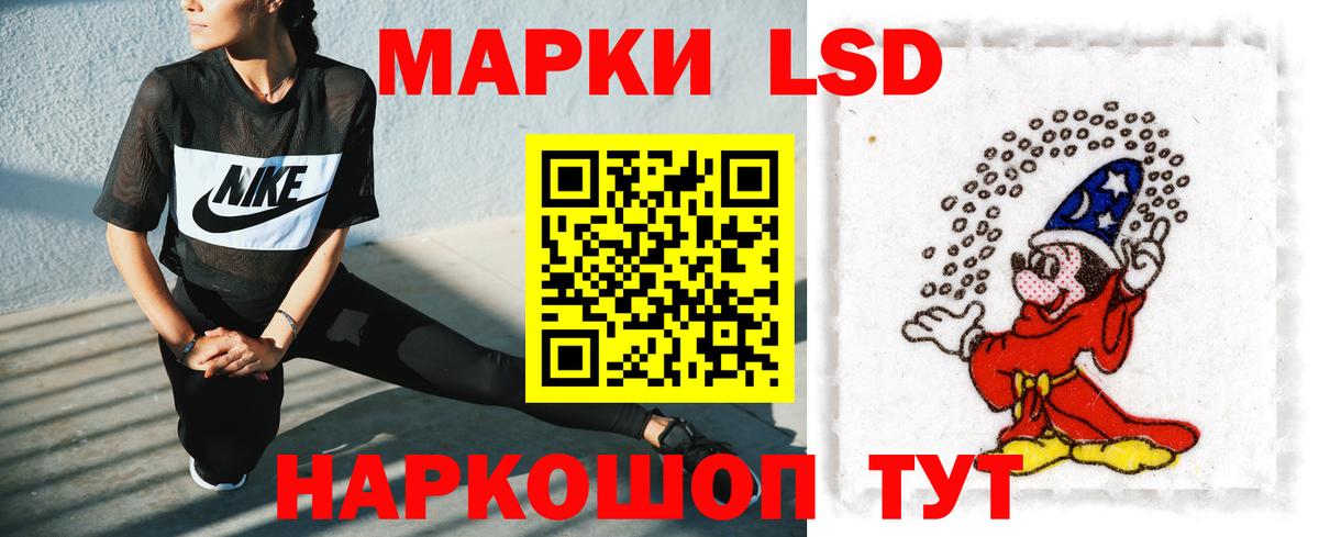 hydra как зайти  ЛСД экстази ecstasy  Вход с VPN  Сокол 