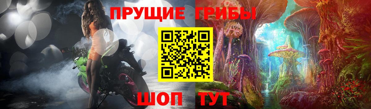 Псилоцибиновые грибы MAGIC MUSHROOMS  Вход с VPN  Галлюциногенные грибы прущие грибы  Сокол 